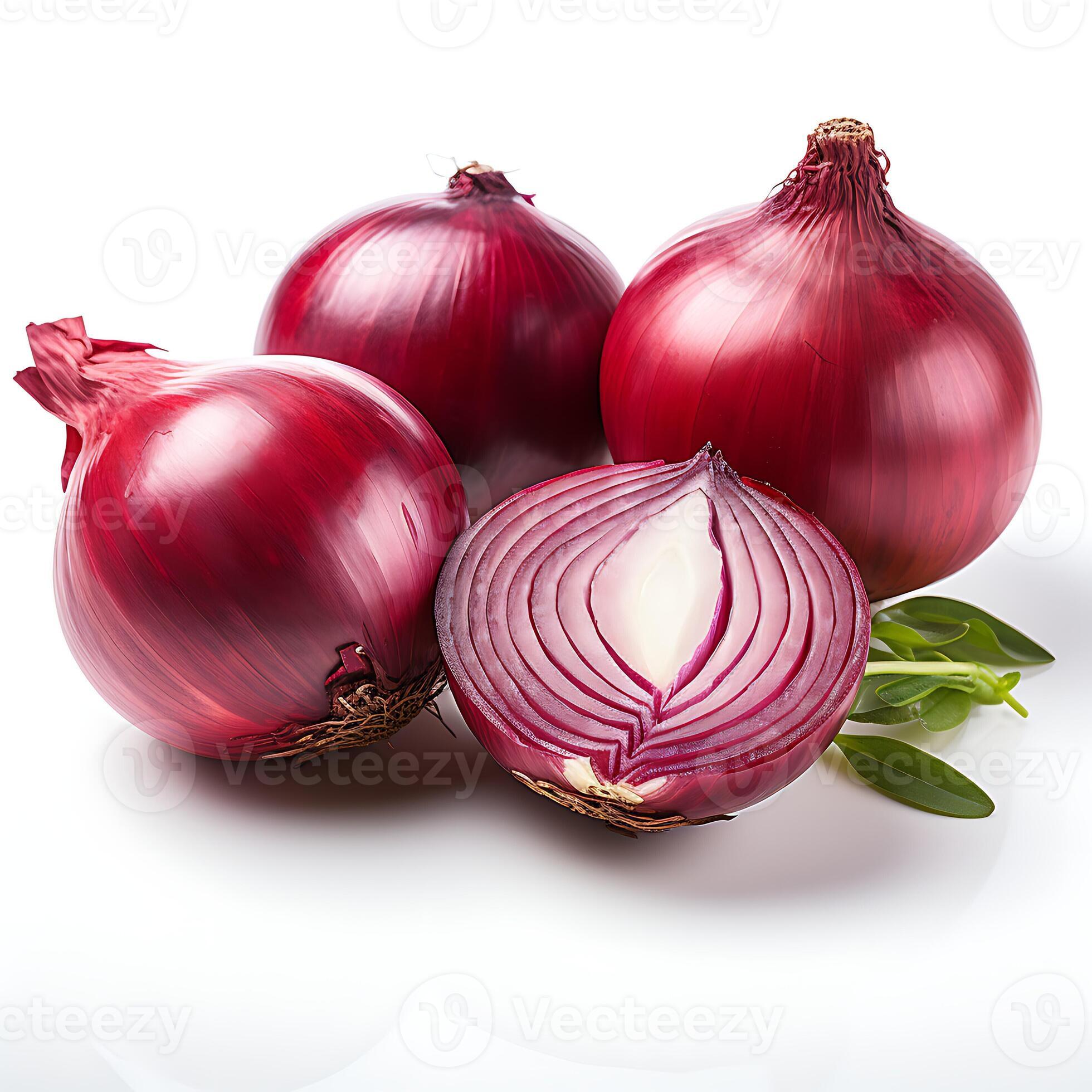 red onion isolated on white background clipping path full depth of field photo