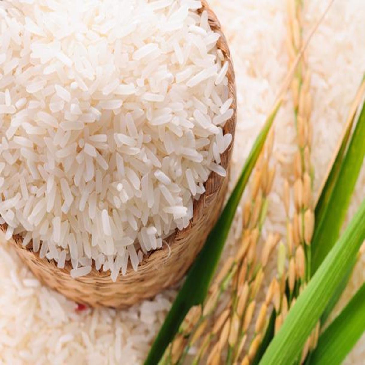 rice 1200x1200